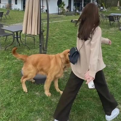 女高中生的虚度日常